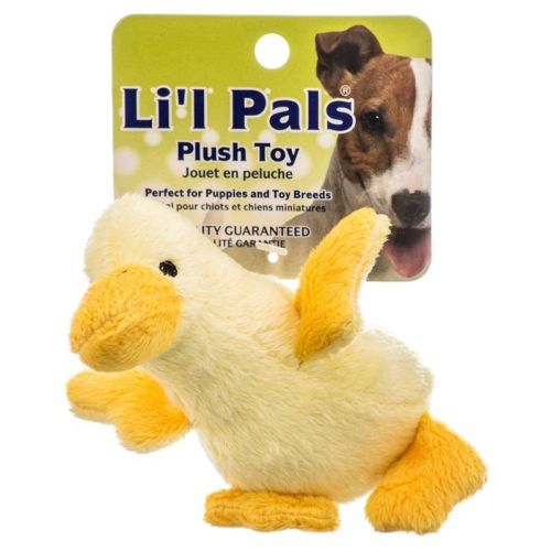 Lil Pals Ultra Soft Plush Dog Toy